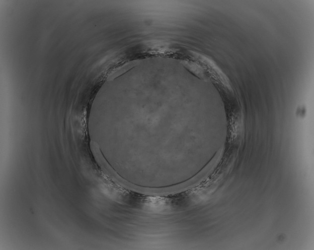 X0000096170376200801181255