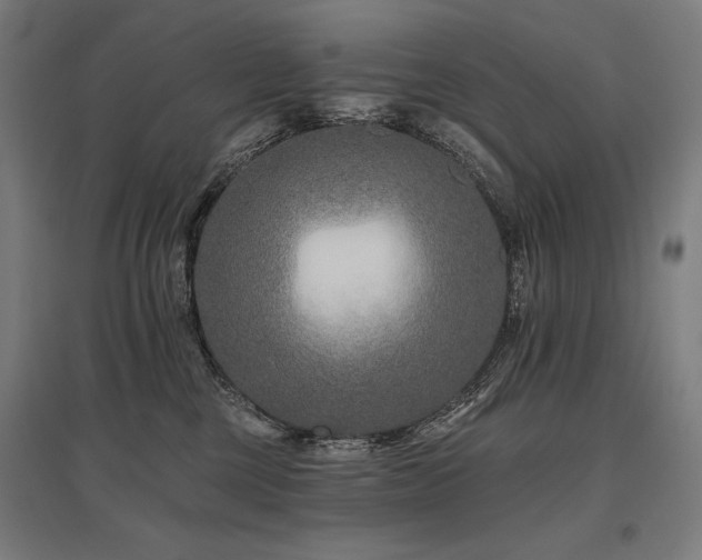 X0000096170377200801181255