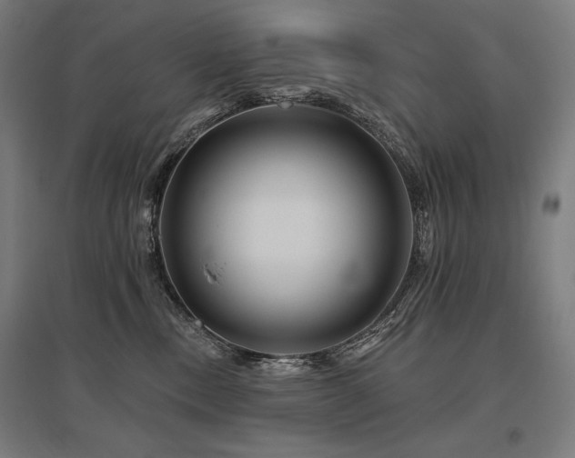 X0000096170378200801181255