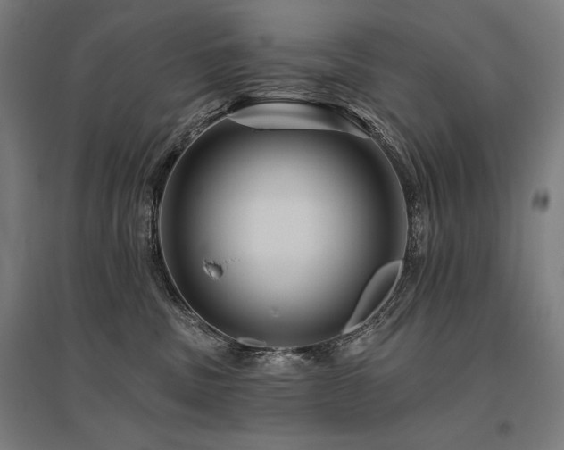 X0000096170379200801181255