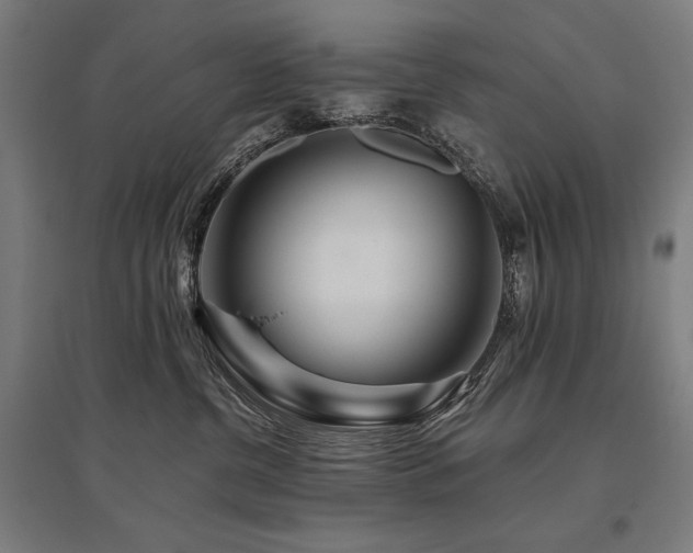 X0000096170380200801181255