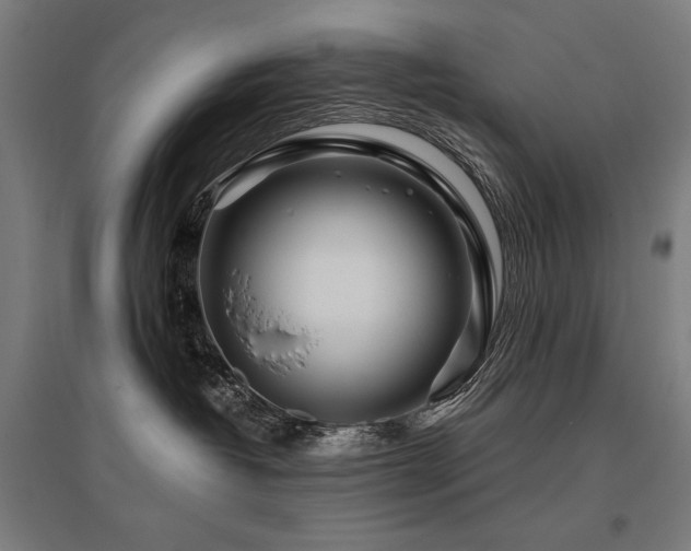 X0000096170382200801181255