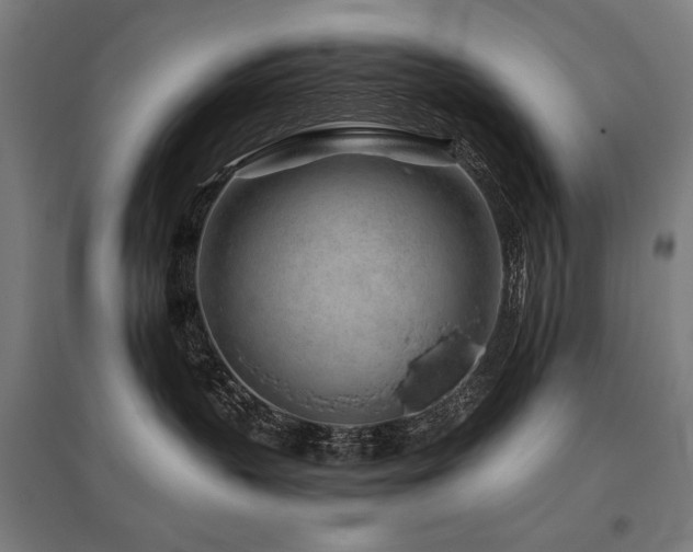 X0000096170383200801181255