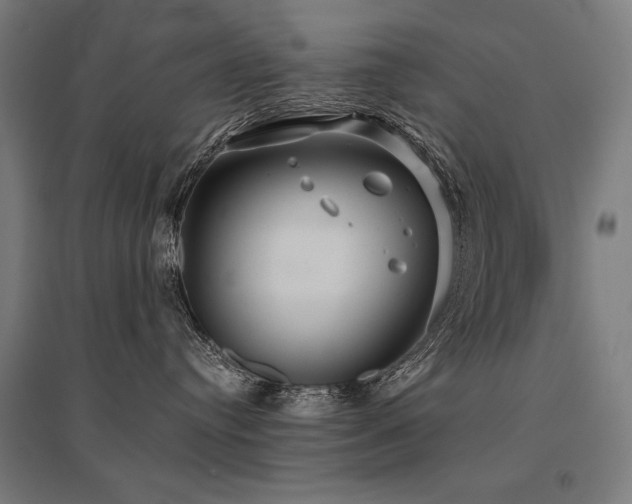 X0000096170384200801181255