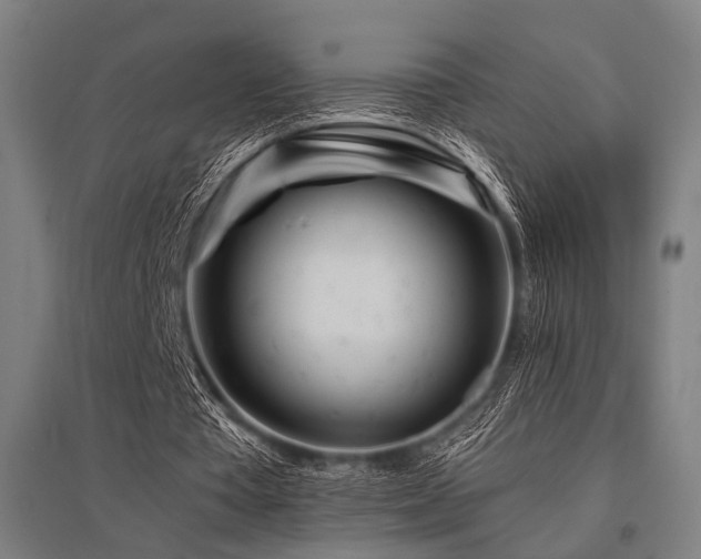 X0000096170385200801181255