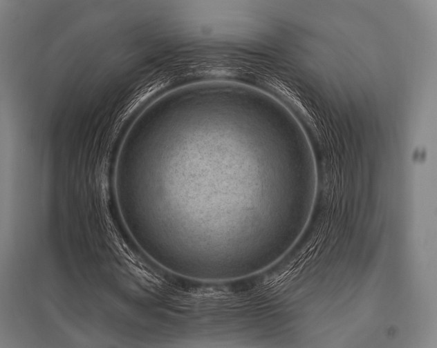 X0000096170386200801181255