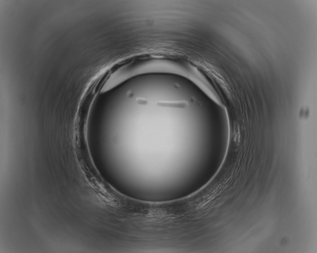 X0000096170388200801181254