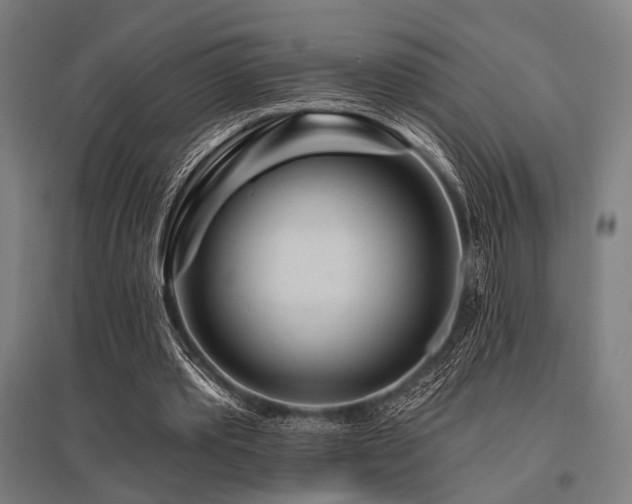 X0000096170389200801181254
