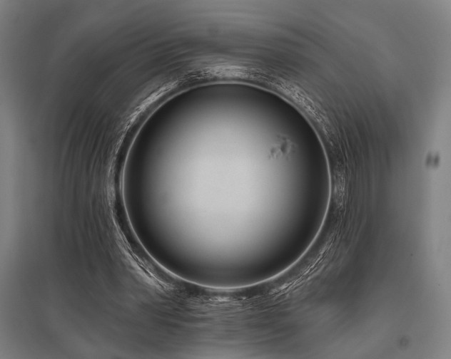 X0000096170390200801181254