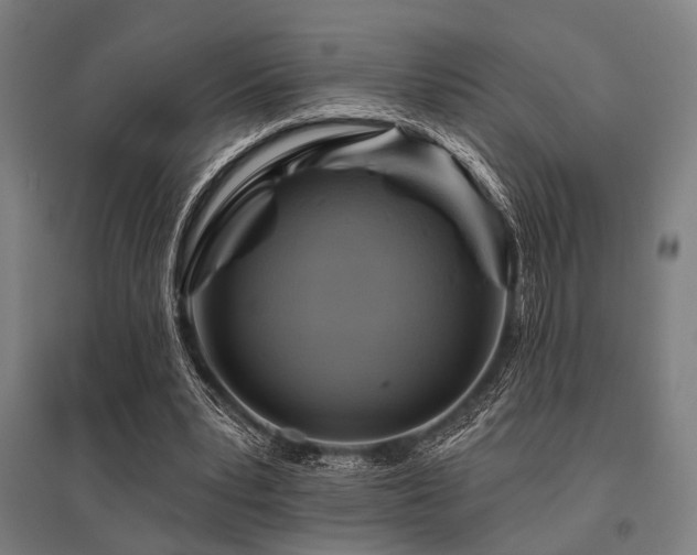 X0000096170391200801181254