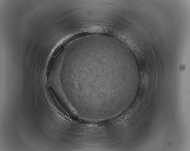X0000096170392200801181254