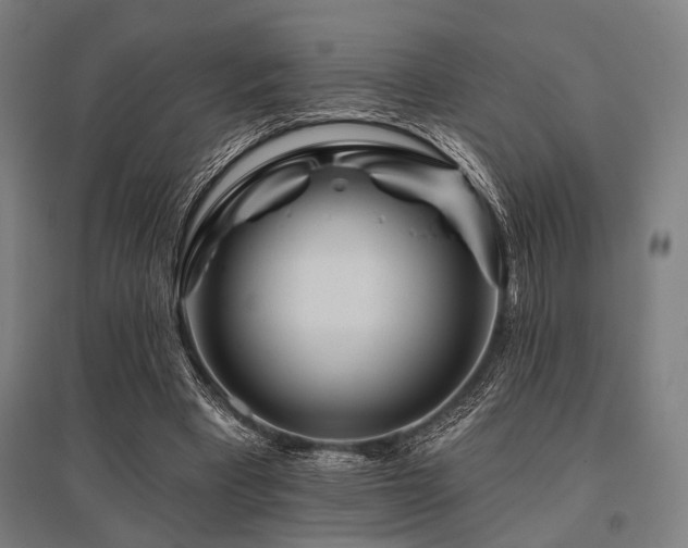 X0000096170393200801181254