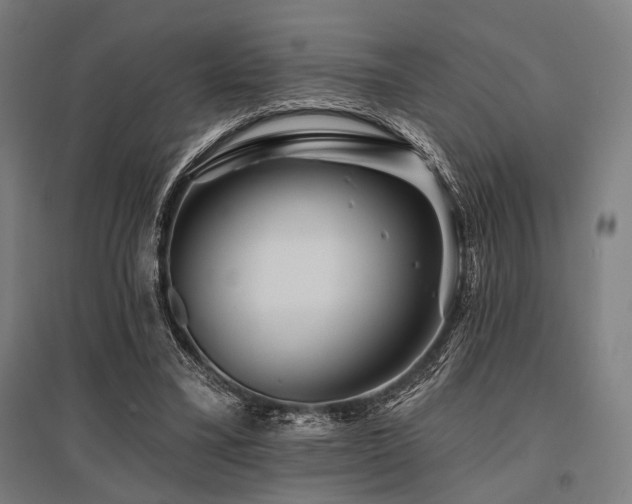 X0000096170395200801181254