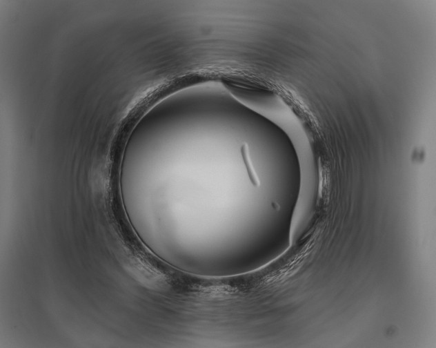 X0000096170396200801181254