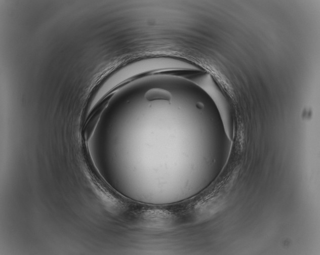 X0000096170397200801181254