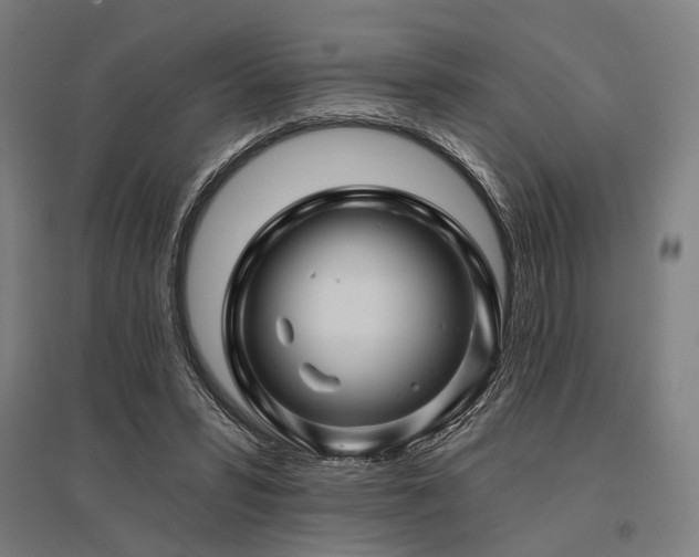 X0000096170399200801181254