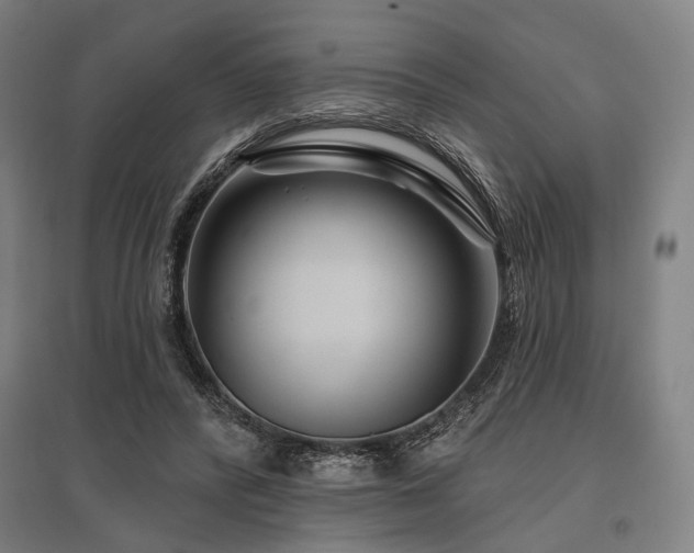 X0000096170400200801181254