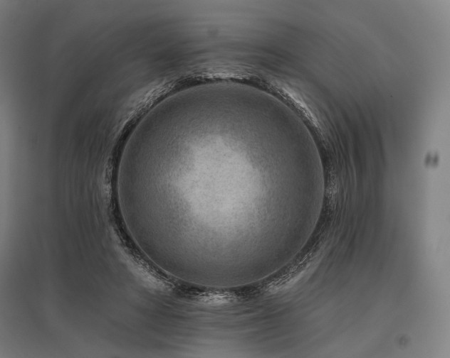 X0000096170402200801181254