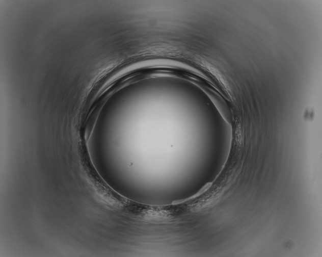 X0000096170403200801181254