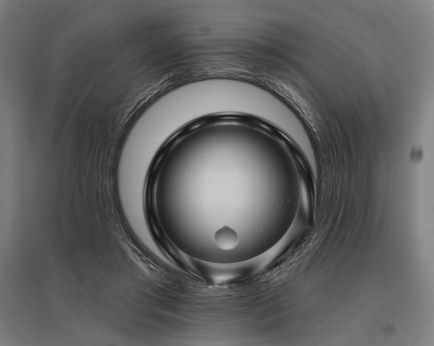 X0000096170405200801181254