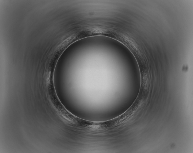 X0000096170406200801181254