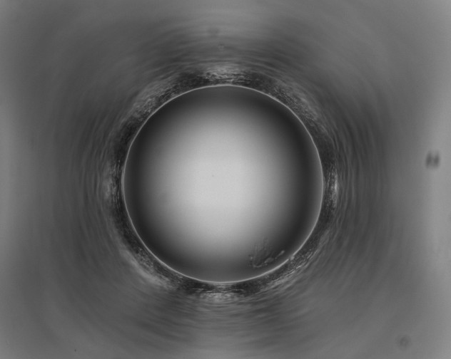X0000096170408200801181254