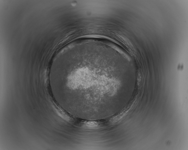 X0000096170409200801181254