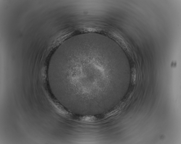 X0000096170410200801181254
