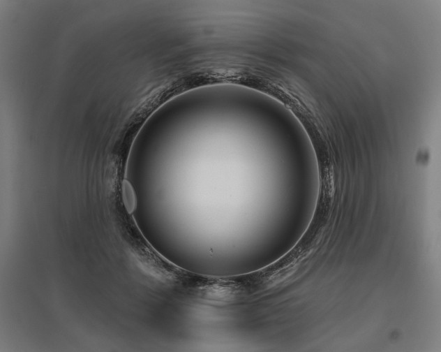 X0000096170412200801181254