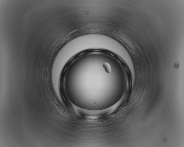 X0000096170413200801181254