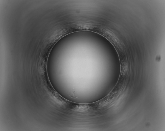 X0000096170414200801181254