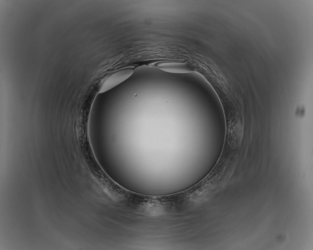 X0000096170416200801181254
