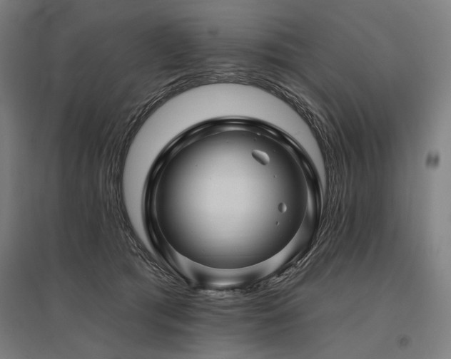 X0000096170417200801181254