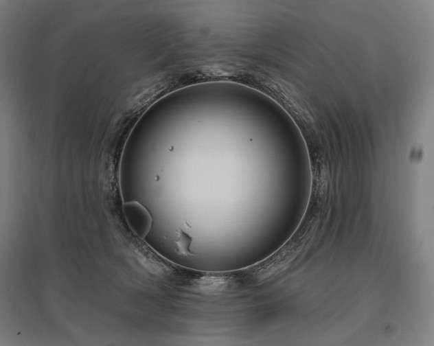 X0000096170418200801181254