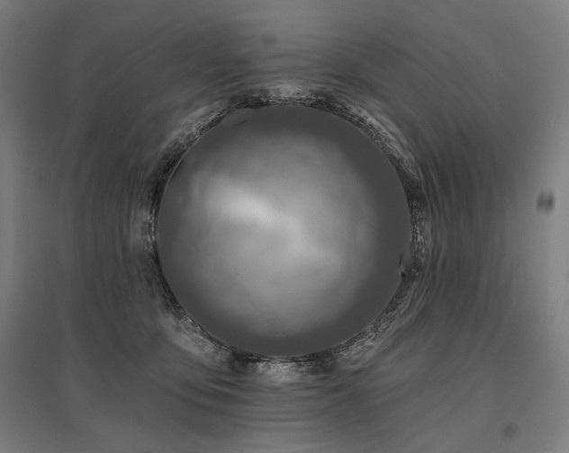 X0000096170419200801181254