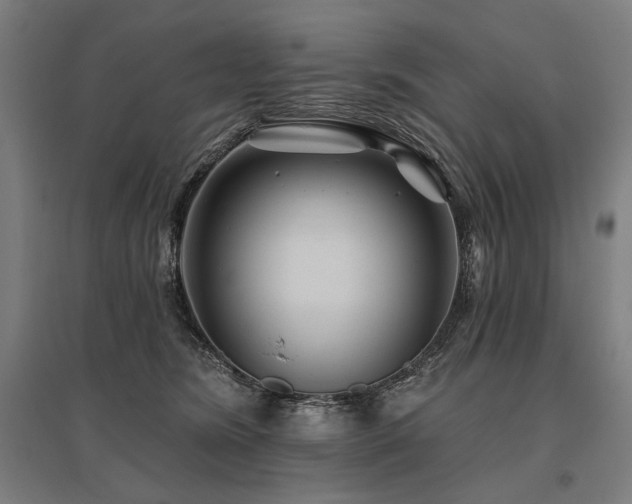 X0000096170420200801181254