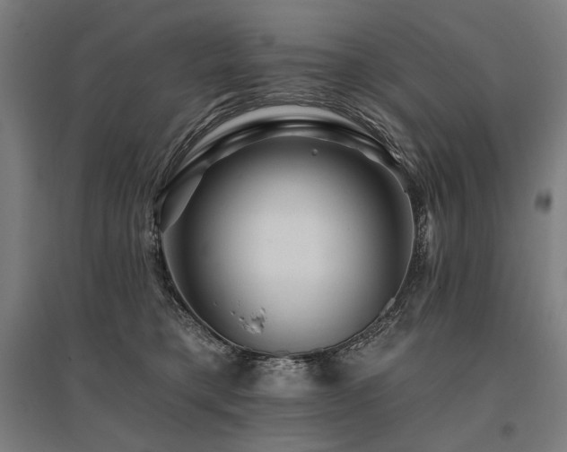 X0000096170421200801181254
