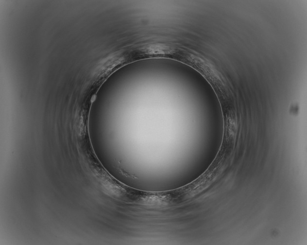 X0000096170422200801181254