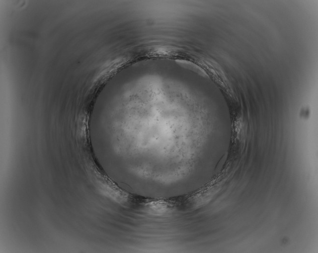 X0000096170423200801181254