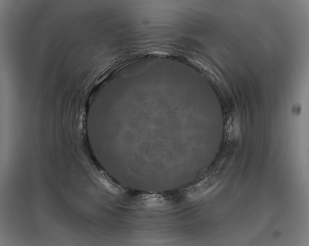 X0000096170424200801181254