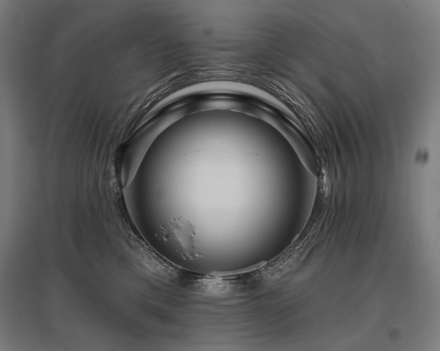 X0000096170425200801181254