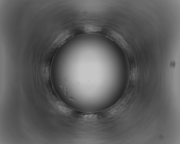 X0000096170426200801181254
