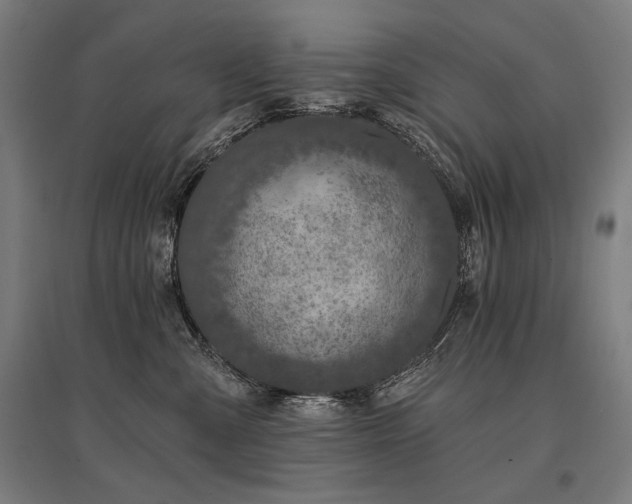 X0000096170427200801181254