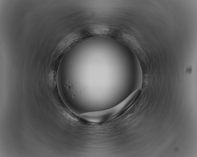 X0000096170428200801181254