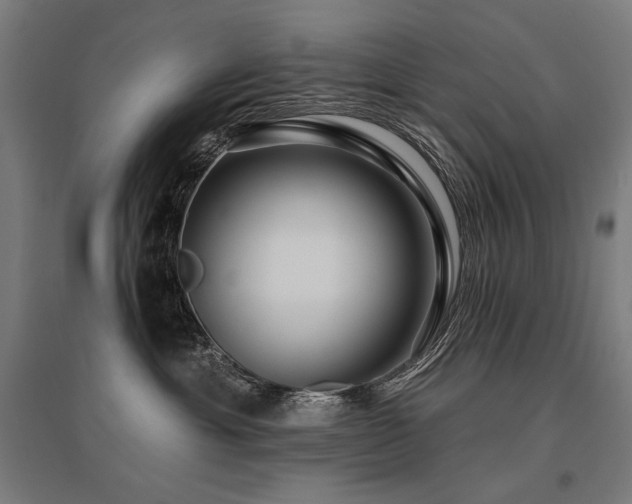 X0000096170429200801181254