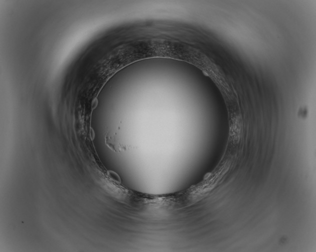 X0000096170430200801181254