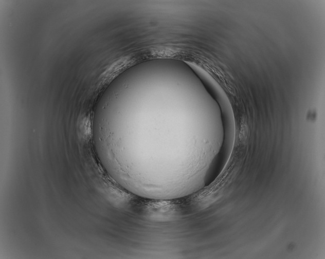 X0000096170431200801181254