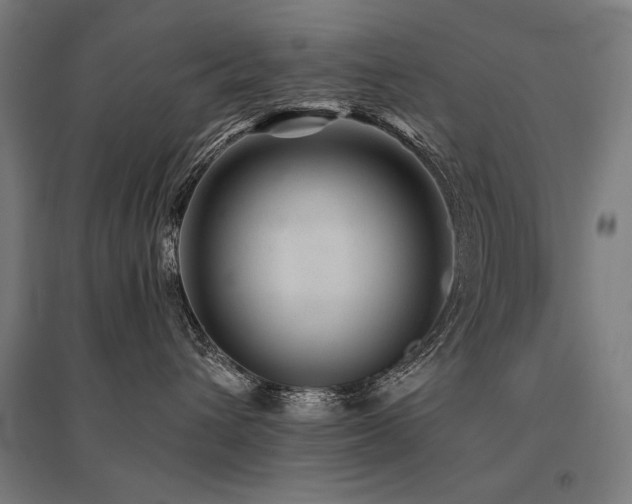 X0000096170432200801181254