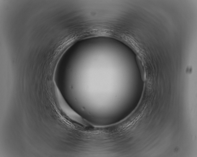X0000096170433200801181253