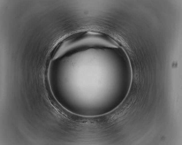 X0000096170434200801181253